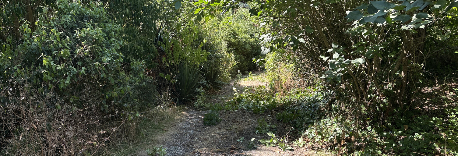 Maison 8 Pièces 250 m² à vendre à L'Isle-en-Dodon (31230)