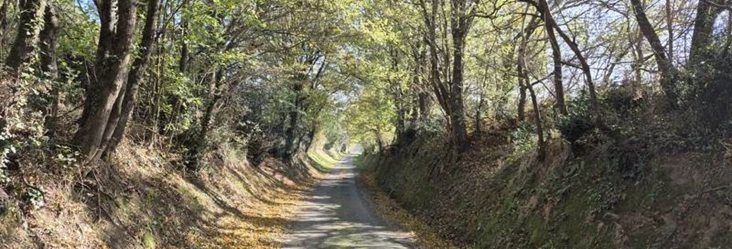 Maison 8 Pièces 350 m² à vendre à Castelnaudary (11400)