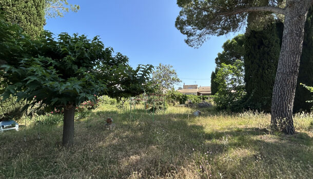 Villa / Maison 6 pièces  à vendre Lattes 34970