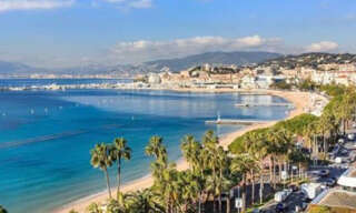 Appartement 3 Pièces 62 m² à vendre à Cannes (06400)