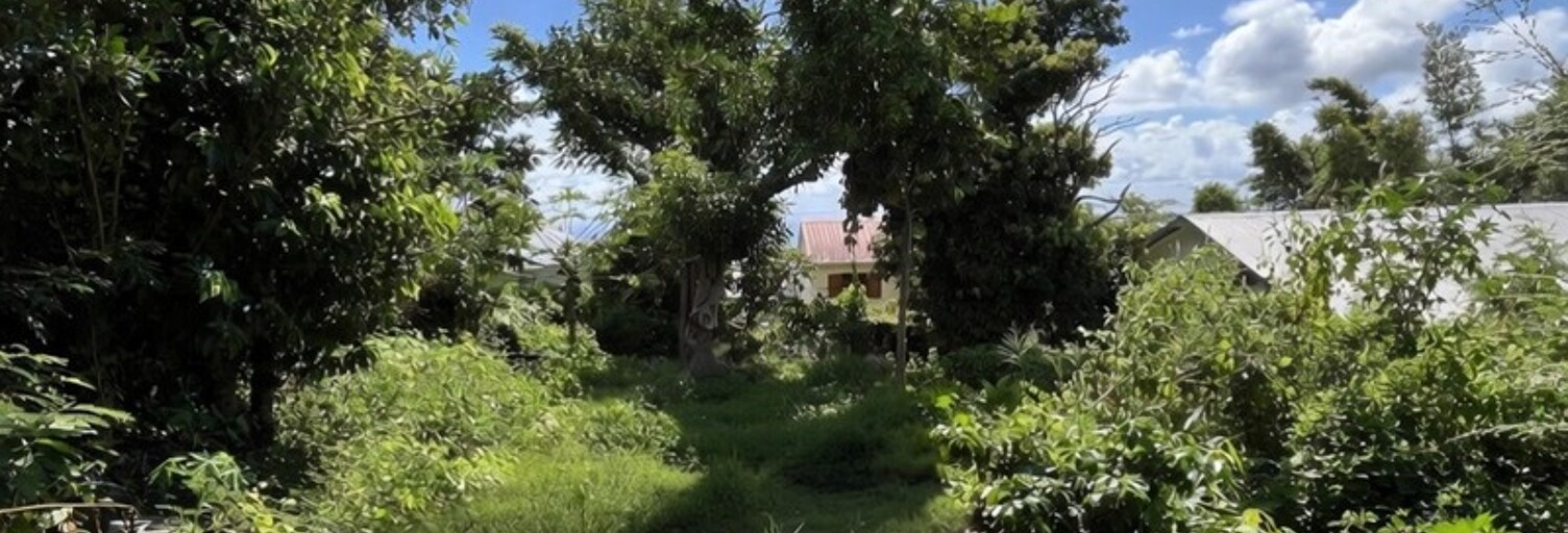 Terrain  545 m² à vendre à Saint-Denis (97490)