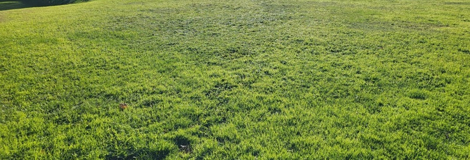 Terrain  2230 m² à vendre à Airvault (79600)