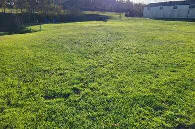Terrain  30000 €