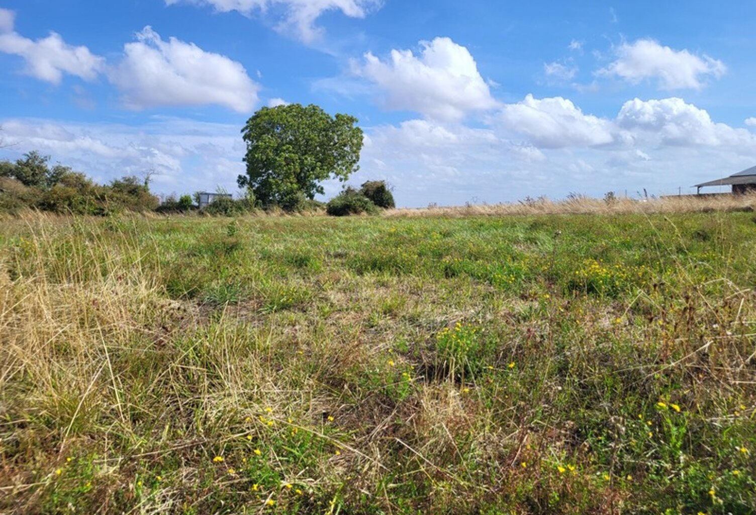 Terrain à vendre de 1 624,00 m² AIRVAULT (79) — photo 1