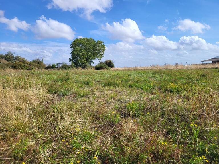 Terrain à vendre de 1 624,00 m² AIRVAULT (79) — photo 1
