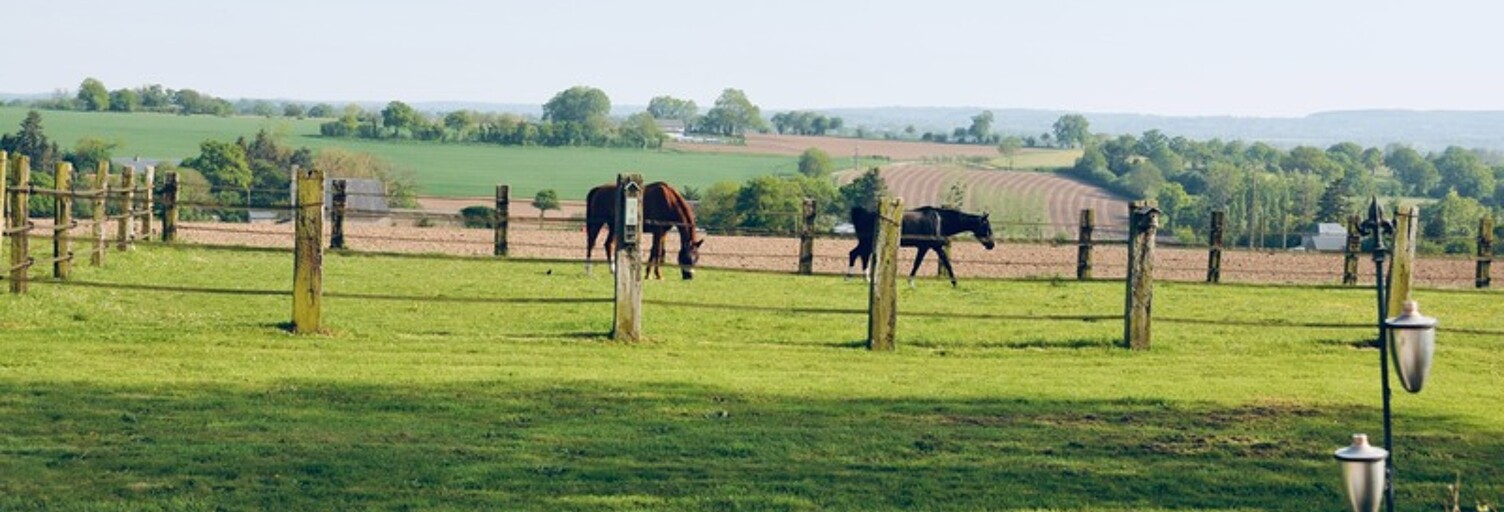 Commerce 6 Pièces 169 m² à vendre à Landelles-et-Coupigny (14380)