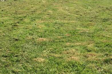 Terrain  47000 €