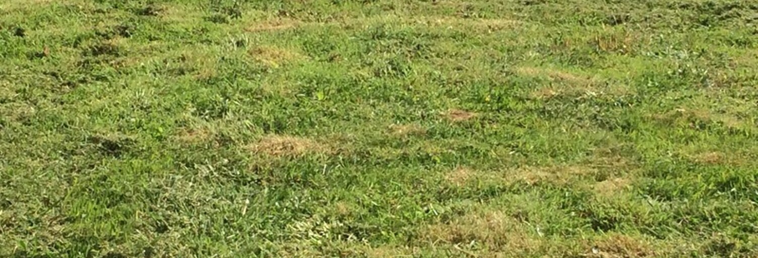 Terrain  617 m² à vendre à Le Houlme (76770)