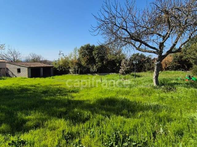Terrain à vendre  Massanes — photo du bien