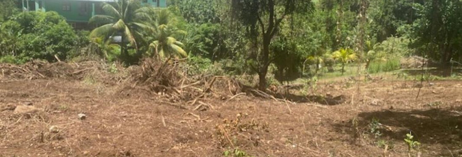 Terrain  1628 m² à vendre à Le Marin (97290)