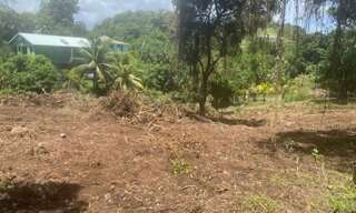 Terrain  1628 m² à vendre à Le Marin (97290)