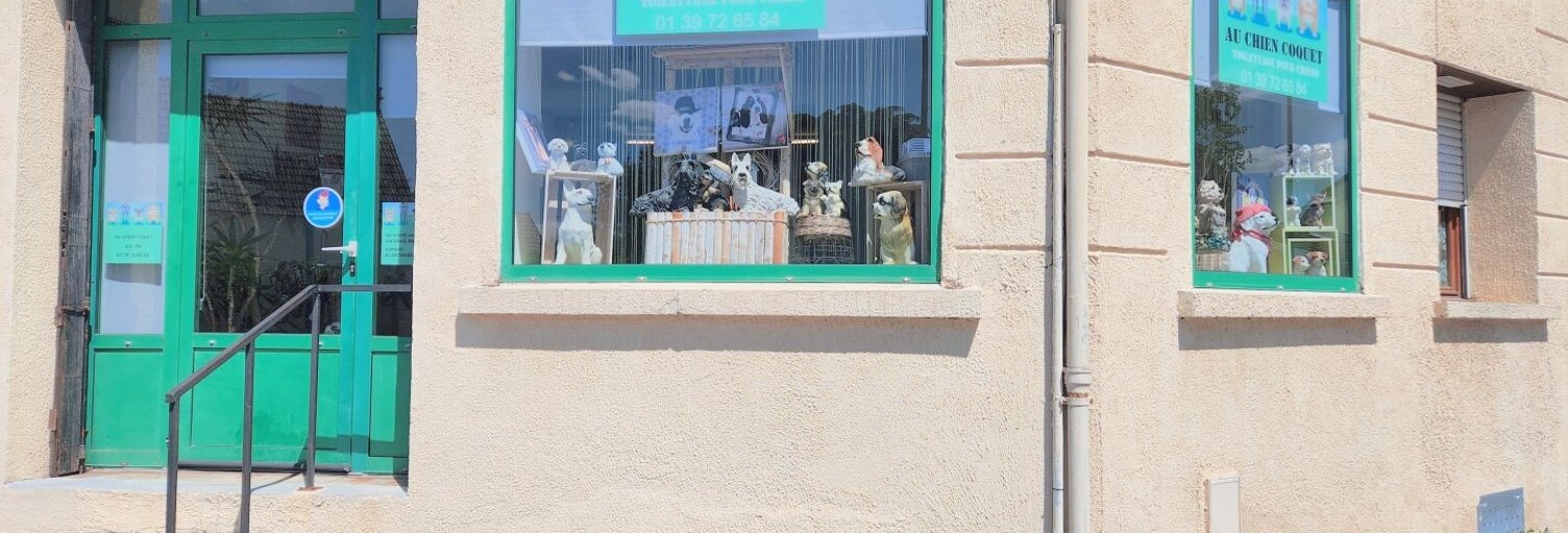 Commerce  54 m² à vendre à Conflans-Sainte-Honorine (78700)