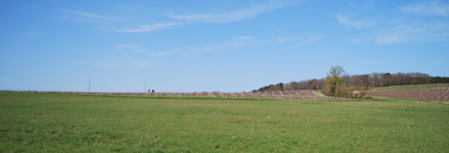 Terrain  2082 m² à vendre à Razac-de-Saussignac (24240)