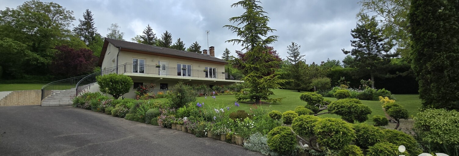 Maison 8 Pièces 170 m² à vendre à Merlaut (51300)