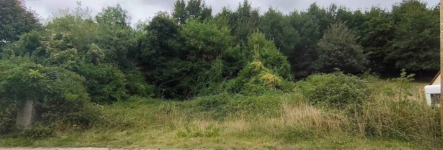 Terrain  676 m² à vendre à Faverolles-sur-Cher (41400)