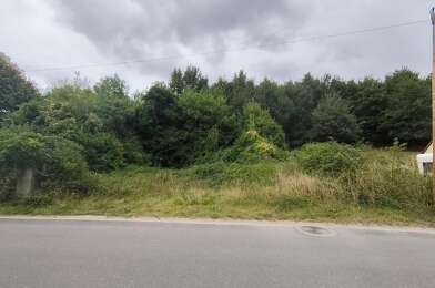 Terrain  29000 €
