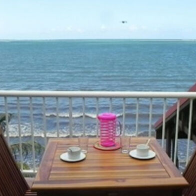 Appartement 3 pièces 830 €