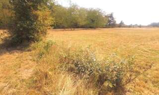 Terrain   m² à vendre à Grignols (33690)