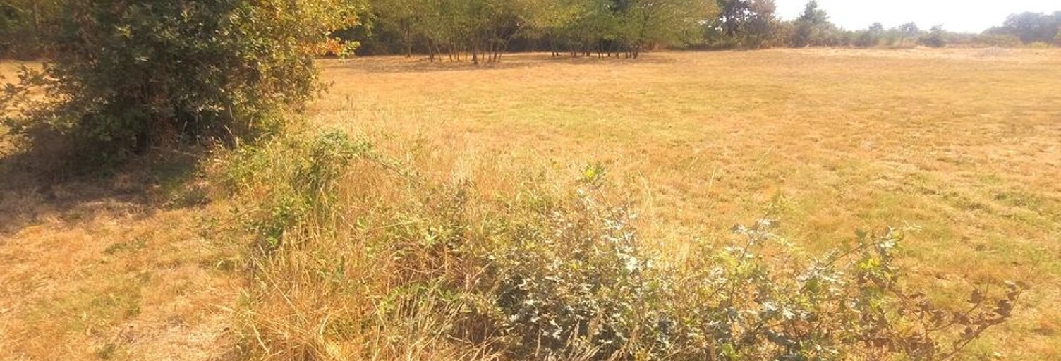 Terrain   m² à vendre à Grignols (33690)