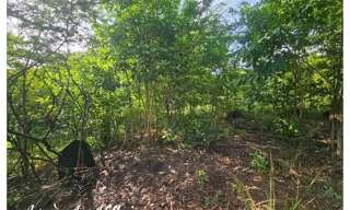 Terrain  2983 m² à vendre à Bouillante (97125)