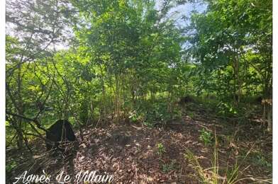Terrain  420000 €