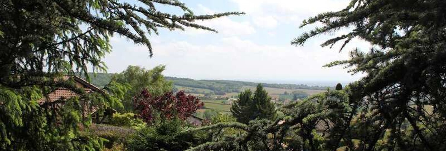 Maison 9 Pièces 246 m² à vendre à Mâcon (71000)