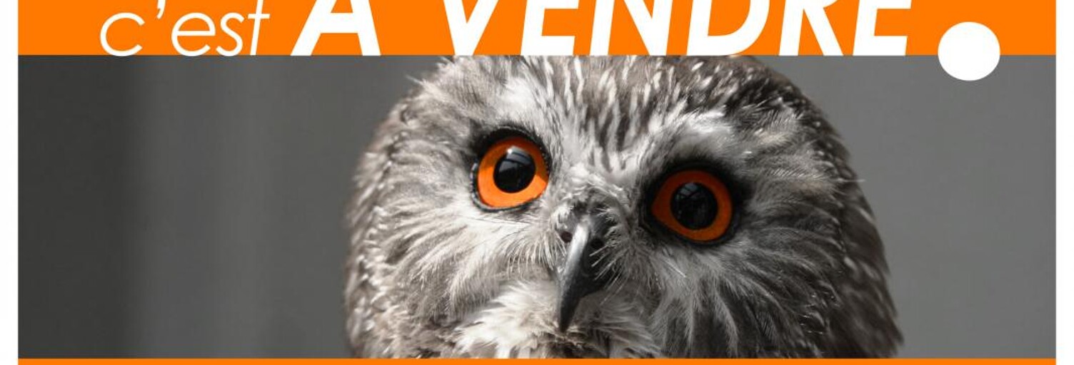 Commerce  75 m² à vendre à Montmorency (95160)