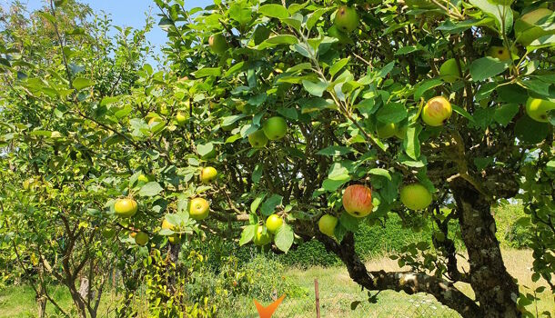 Villa / Maison 4 pièces  à vendre Rouziers-de-Touraine 37360