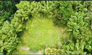 Terrain  6130 m² à vendre à L'Ajoupa-Bouillon (97216)