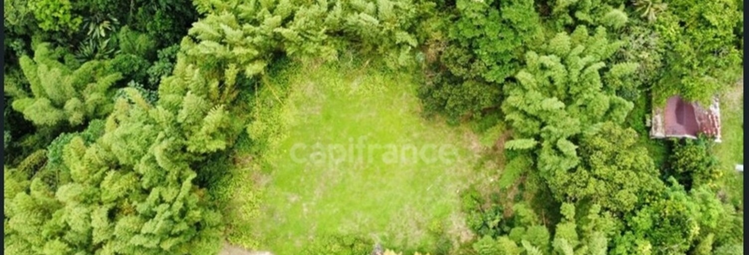 Terrain  6130 m² à vendre à L'Ajoupa-Bouillon (97216)