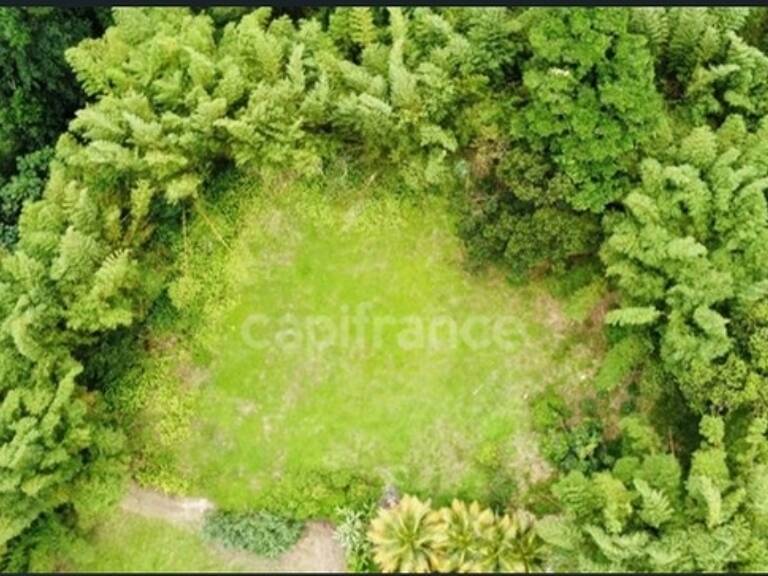 À Vendre – Grand terrain à bâtir de 6 130 m² à Ajoupa-Bouillon (Martinique) — photo 1