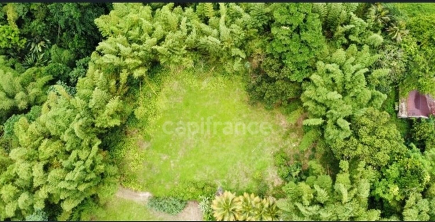 À Vendre – Grand terrain à bâtir de 6 130 m² à Ajoupa-Bouillon (Martinique) — photo 1