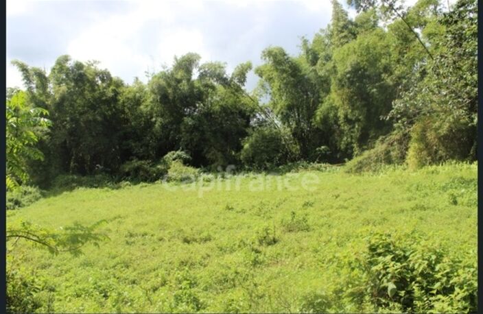 À Vendre – Grand terrain à bâtir de 6 130 m² à Ajoupa-Bouillon (Martinique) — photo 2