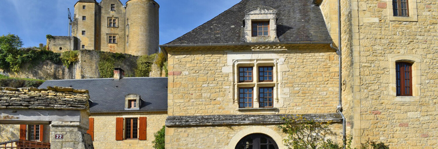 Maison 7 Pièces 275 m² à vendre à Salignac-Eyvigues (24590)