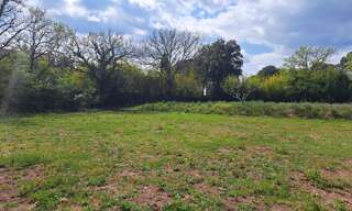 Terrain 726 m² à construire Puget-sur-Argens (83480)