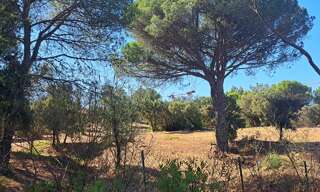 Terrain 515 m² à construire Fréjus (83600)