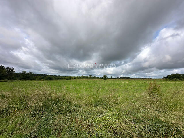 Terrain plat viabilisé à bâtir sur les hauteurs - 1150 m² - Montville — photo du bien