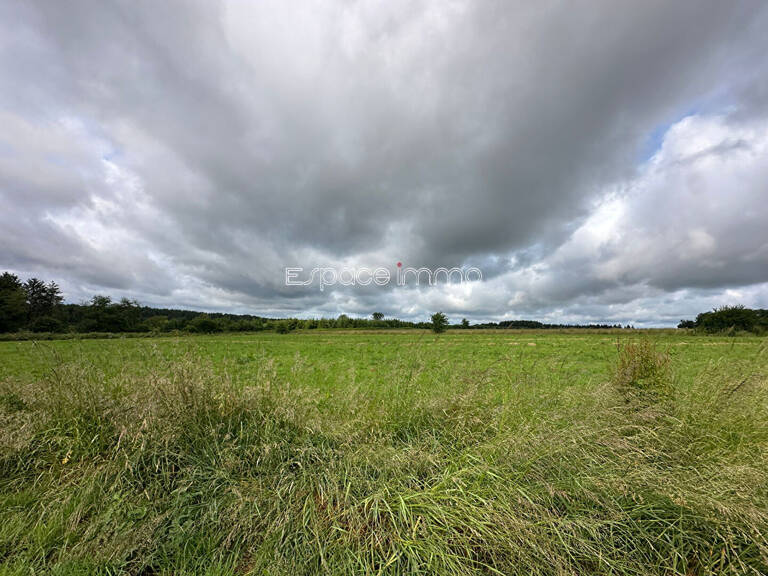 Terrain plat viabilisé à bâtir sur les hauteurs - 1150 m² - Montville — photo 1