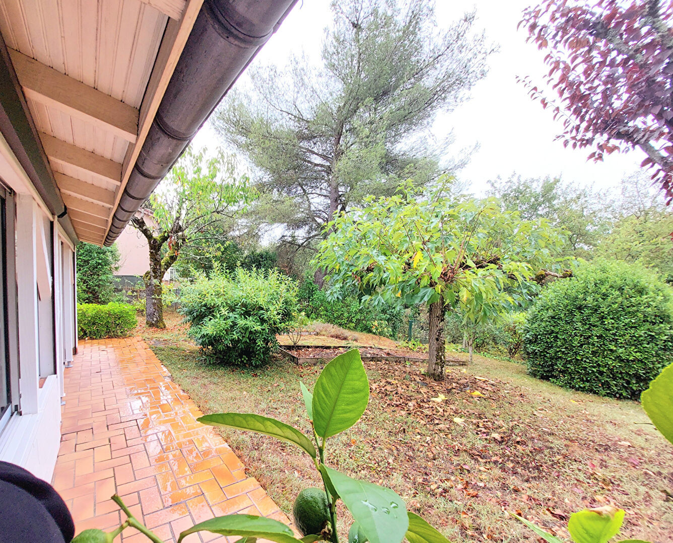 Albi Maison 7 pièces 150 m²