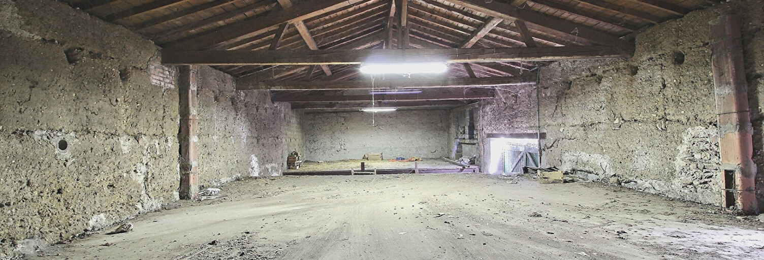 Maison 10 Pièces 248 m² à vendre à Andrézieux-Bouthéon (42160)