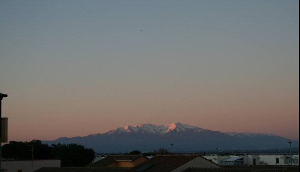 Appartement 2 pièces  à vendre Barcarès (Le) 66420