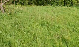 Terrain   m² à vendre à Fécamp (76400)