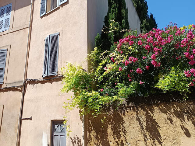 Magnifique appartement centre historique d'AIX-EN-PROVENCE — photo du bien