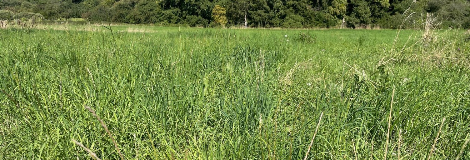 Terrain  967 m² à vendre à Bibiche (57320)