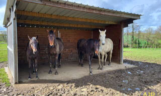 Maison 5 Pièces 138 m² à vendre à Ligné (44850)