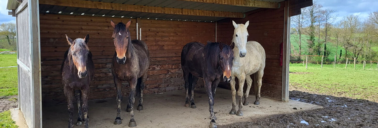Maison 5 Pièces 138 m² à vendre à Ligné (44850)