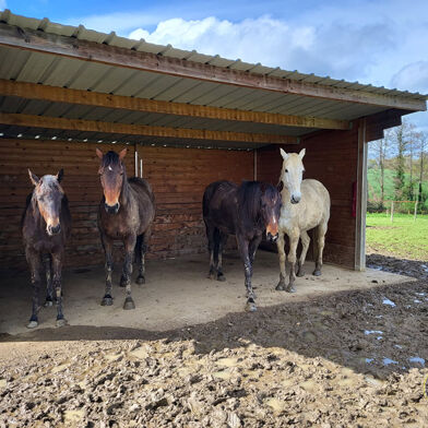 Maison 5 pièces 447500 €