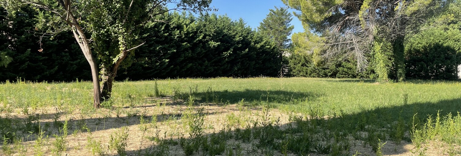 Terrain  1534 m² à vendre à Saint-Rémy-de-Provence (13210)