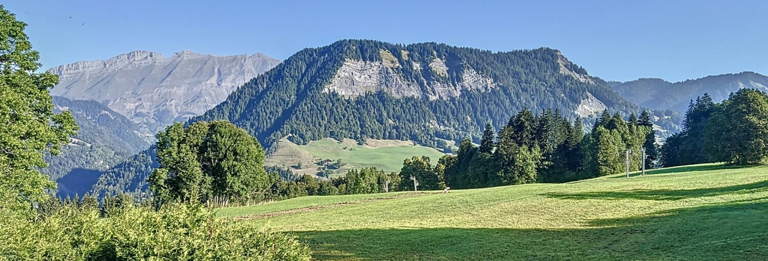 Maison 7 Pièces 300 m² à vendre à Notre-Dame-de-Bellecombe (73590)