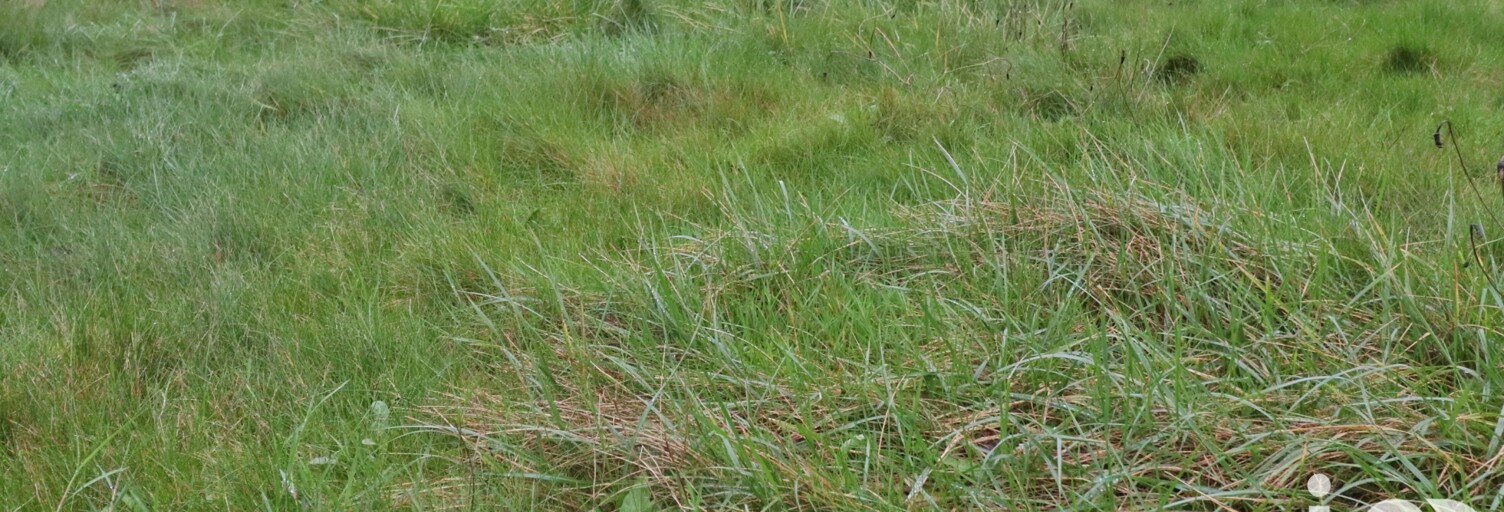 Maison 7 Pièces 121 m² à vendre à Plouénan (29420)